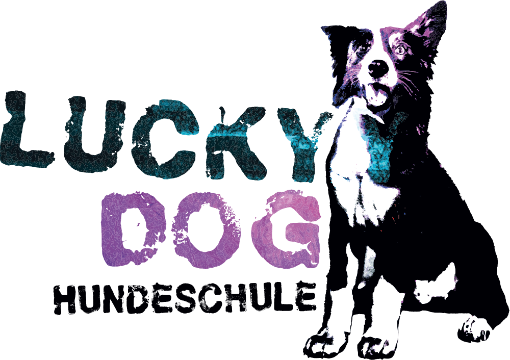 Illustration Mensch mit Hund